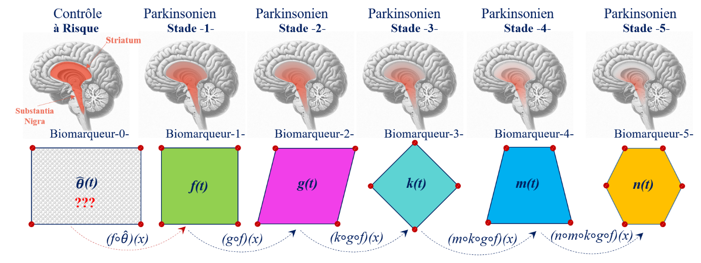 Schéma simplifié des formes géométriques illustrant l'évolution des biomarqueurs dans le temps.